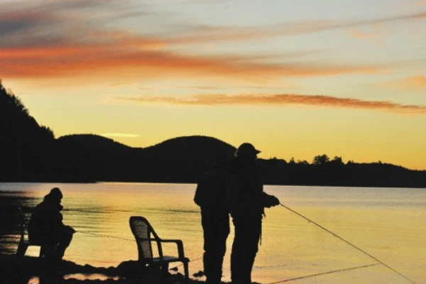 Trout Fishing Rotorua   Region