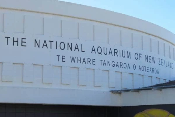 National Aquarium of NZ  
