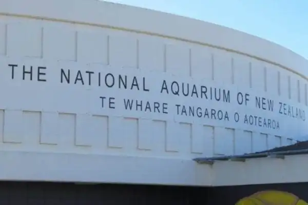 National Aquarium of NZ  
