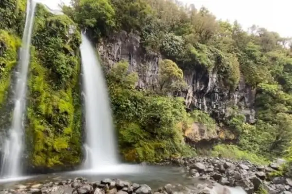 Dawson Falls  - Mahoe