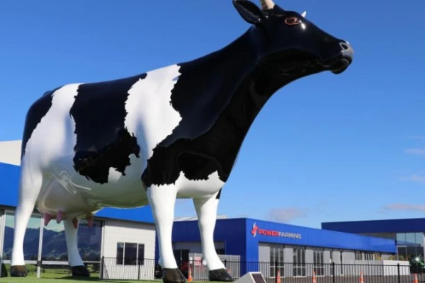 Morrie the Giant Cow 