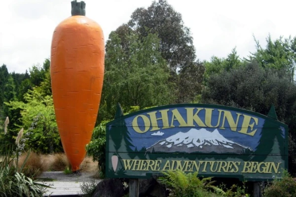 The Ohakune Giant Carrot 