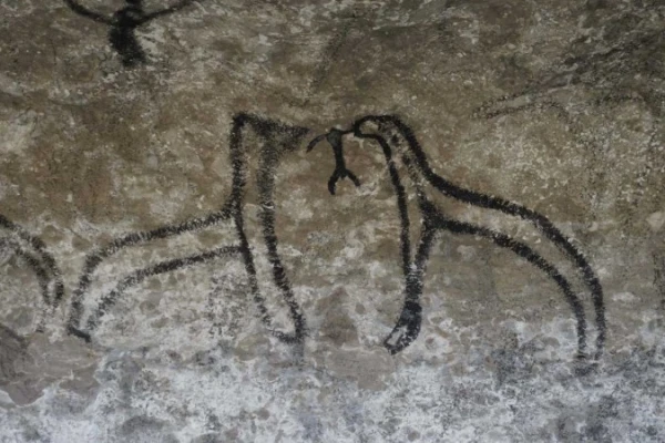 Māori Rock Art - Waikari 