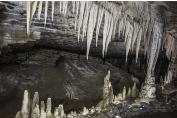 Charleston Glow Worm Caves 