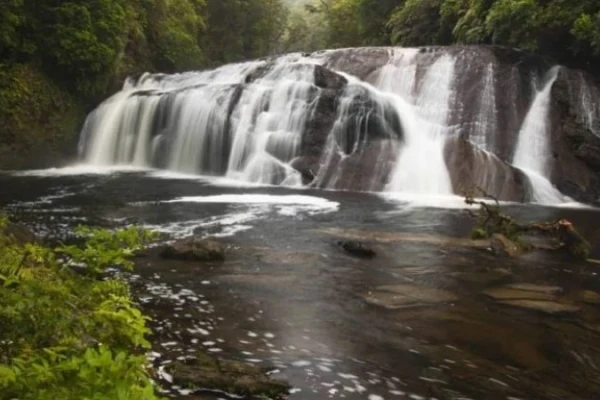 Coal Creek Falls - Greymouth 