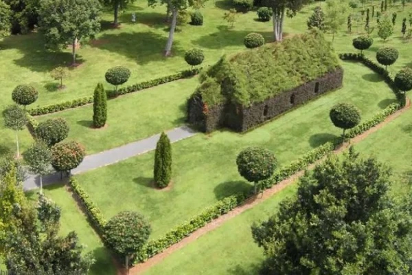 The Tree Church  - Ohaupo