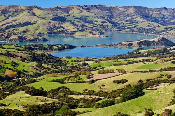 Banks Peninsula 