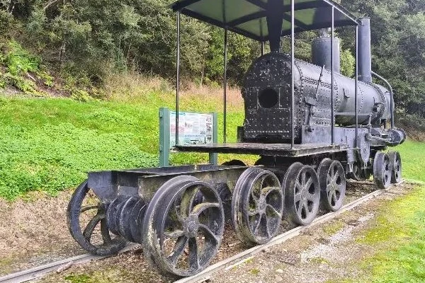 Ngahere Steam Locomotive 
