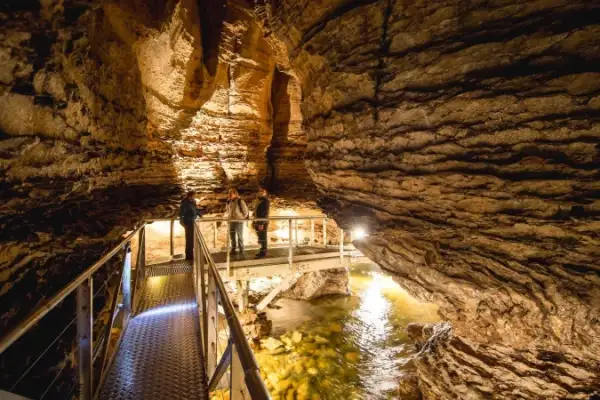 Te Anau Gloworm Caves 